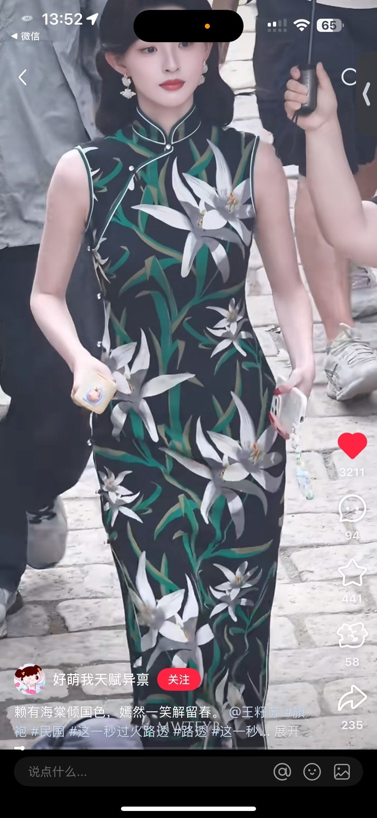 布料名 - 暗夜仙客 / Fabric Name - Midnight Sanctuary