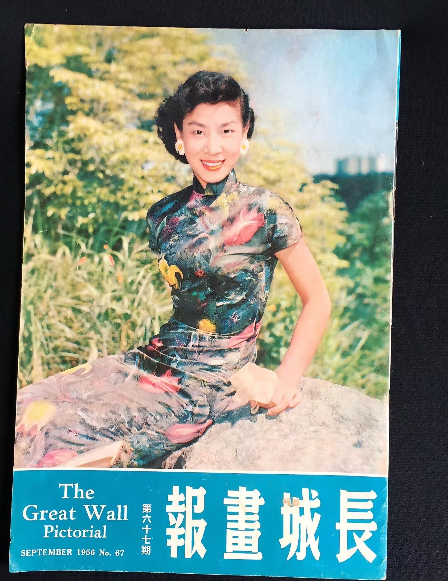 60年代 - 夜幕花园・繁花菱格纹薄纱・月下暗香古董港式旗袍 / 1960s - Midnight Garden: Floral Diamond Mesh Sheer Vintage Hong Kong Qipao