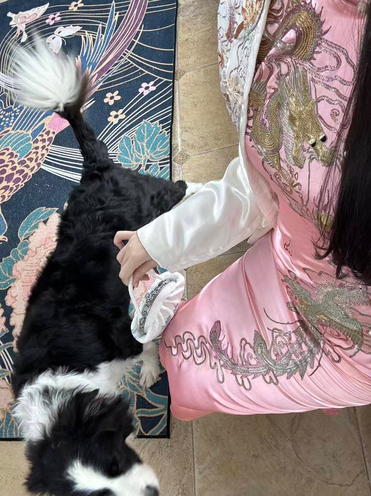 50年代 - 五十年代梅花牌龙凤呈祥旗袍短褂套装：粤绣盘金绣技艺与东方美学的古董遗珍 | 1950s - 1950s "Plum Blossom" Brand Dragon &amp; Phoenix Suit: An Archival Treasure of Yue Embroidery and Oriental Aesthetics