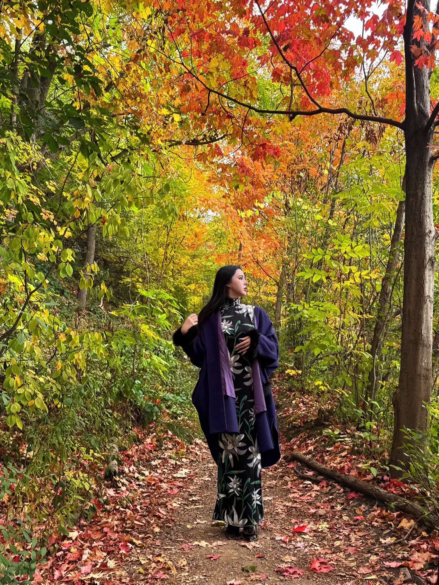 客订结缘 - 秋日幽兰：墨黑底色幽兰花卉印花高领旗袍长裙搭配复古佩斯利纹羊绒流苏披肩 / Customized Design - Autumn Solitude Orchid: Black Base Phalaenopsis Print Modern High-Collar Qipao Maxi Dress Paired with Vintage Paisley Cashmere Tassel Shawl