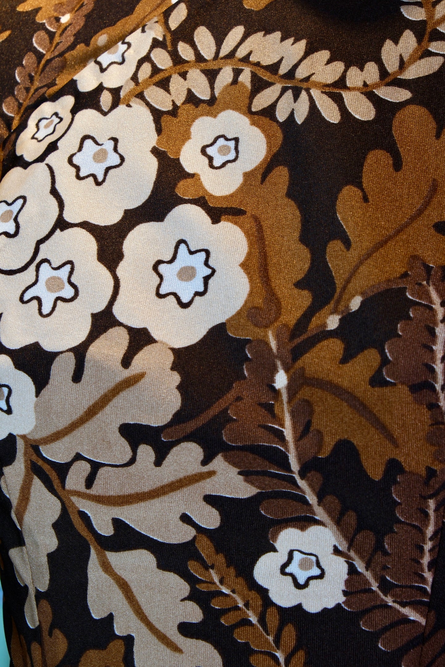 南洋旧梦，褐土生花——六十年代台湾古董旗袍赏析 | Old Dreams of Nanyang, Blossoms on Brown Earth: Appreciation of a 1960s Taiwan Antique Qipao